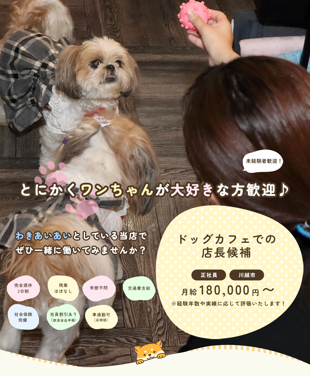 ドッグカフェでの店長候補（正社員×川越市）募集