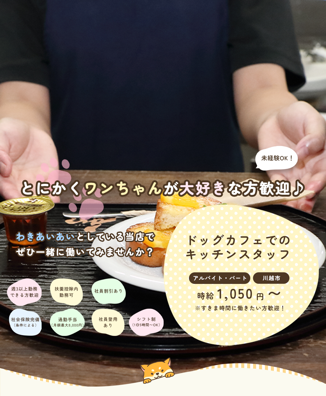 ドッグカフェでのキッチンスタッフ（アルバイト・パート×川越市）募集